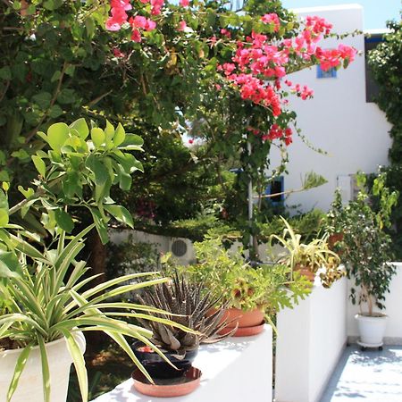 Loukia Apartments & Studios Νάουσα Εξωτερικό φωτογραφία