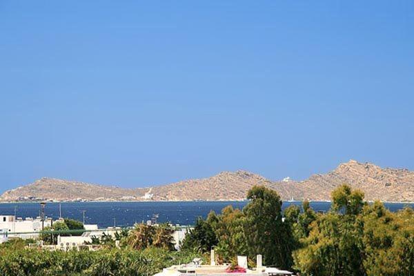 Loukia Apartments & Studios Νάουσα Εξωτερικό φωτογραφία