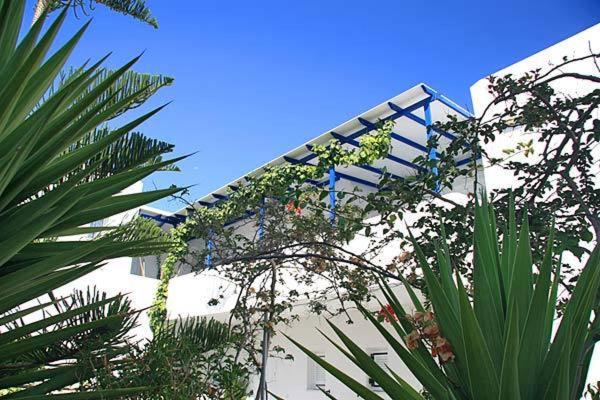 Loukia Apartments & Studios Νάουσα Εξωτερικό φωτογραφία