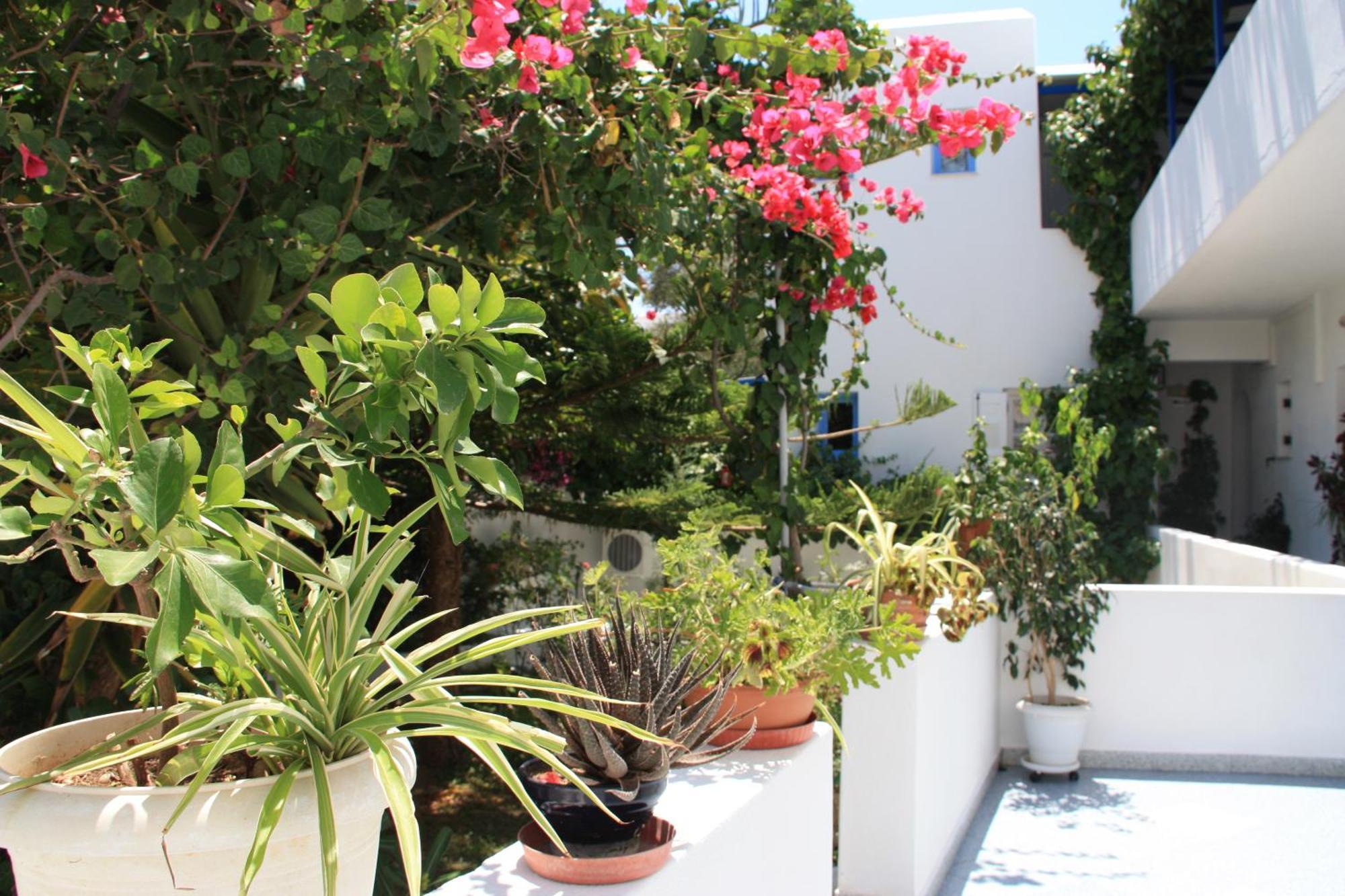 Loukia Apartments & Studios Νάουσα Εξωτερικό φωτογραφία