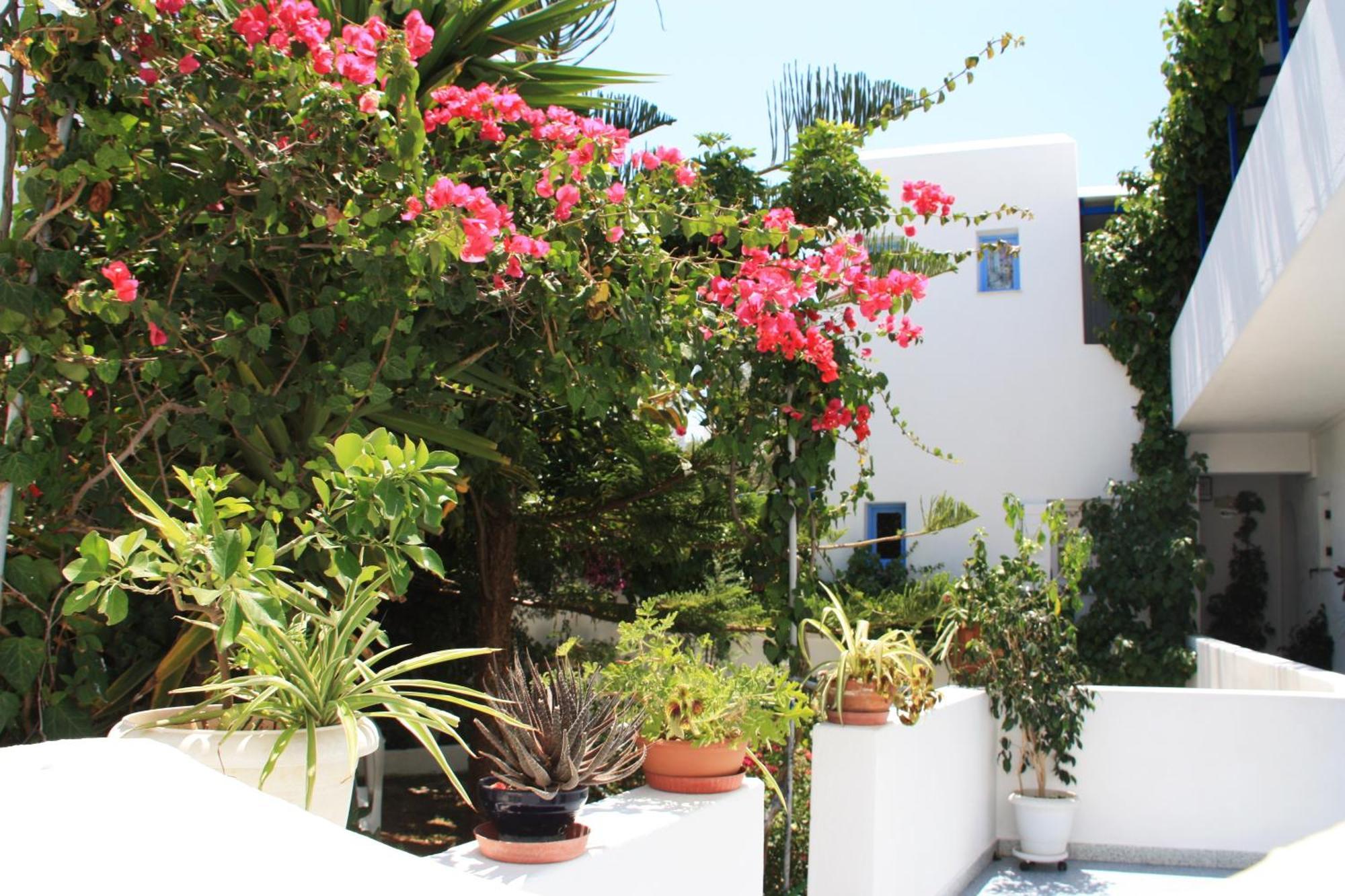 Loukia Apartments & Studios Νάουσα Εξωτερικό φωτογραφία