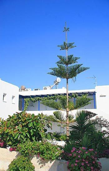Loukia Apartments & Studios Νάουσα Εξωτερικό φωτογραφία